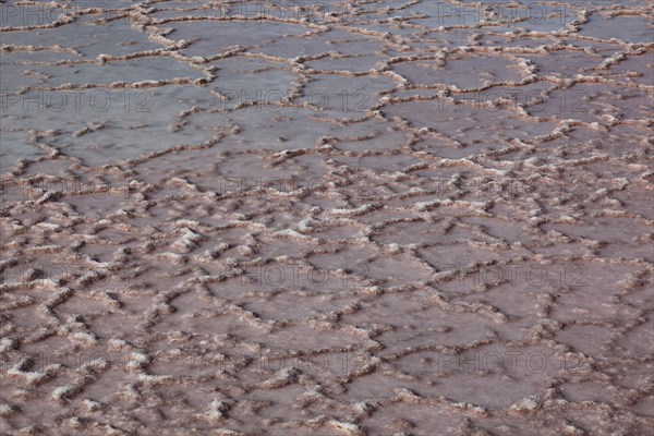 The Salinas de Janubio