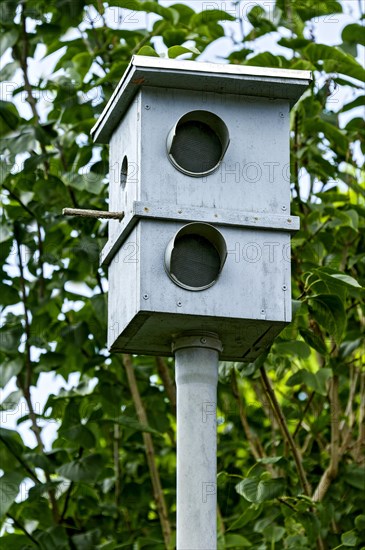 Dummy speed camera as a deterrent