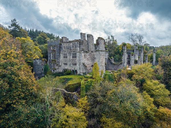 Autumn over Berry Pomeroy Castle from a drone
