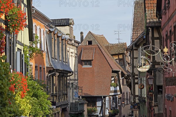 Colourful half-timbered houses in the historic old town of Riquewihr