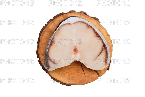 Frozen blue shark steak isolated on white background