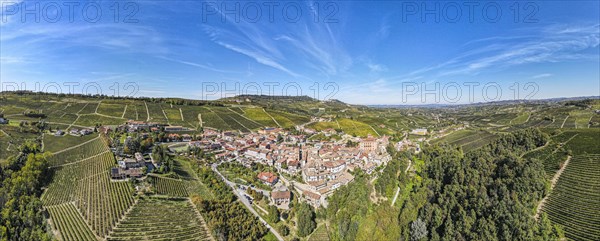 Panorama aerial of Barolo