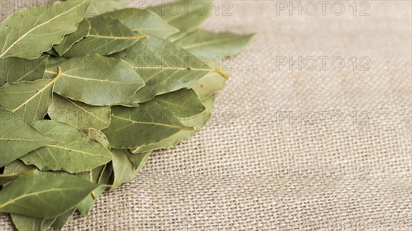 Pile dry laurel leaves