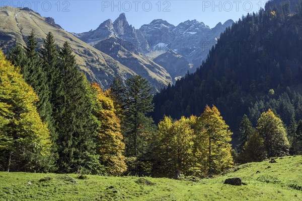 Autumn forest near Eioedsbach