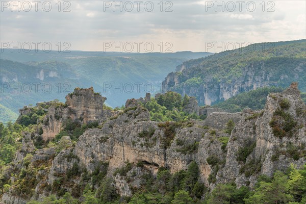 The city of stones