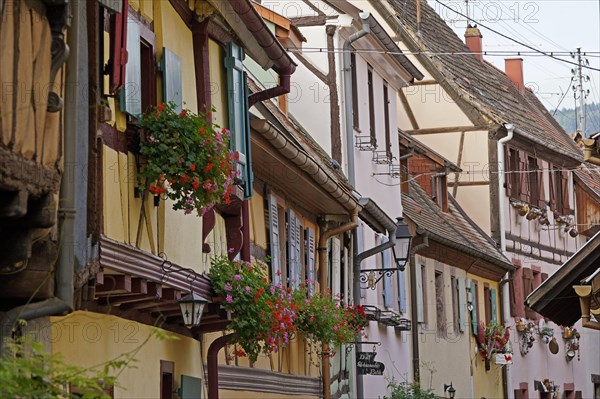 Colourful half-timbered houses in the historic old town of Eguisheim