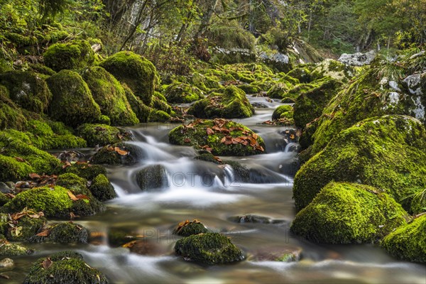 Mossy rocks by the Gljun torrent