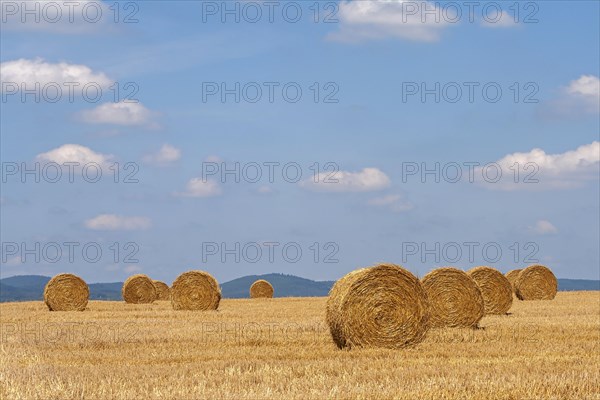 Stubble field with straw rolls