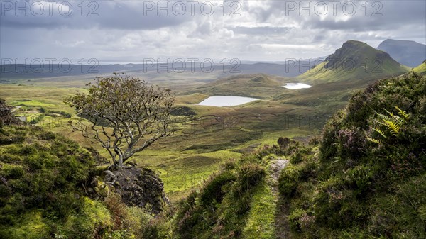 Quiraing Rock Landscape