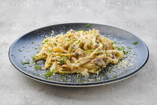 Pasta with honey agarics