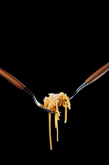 Cooked bigoli pasta twisted on fork with olive oil and parmesan