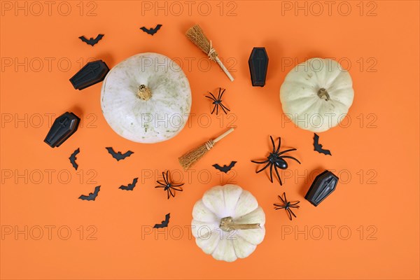 Halloween arrangement with white pumpkins