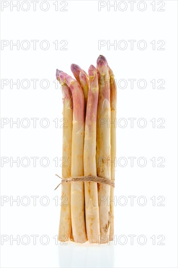 Bunch of asparagus stalks isolated on white background