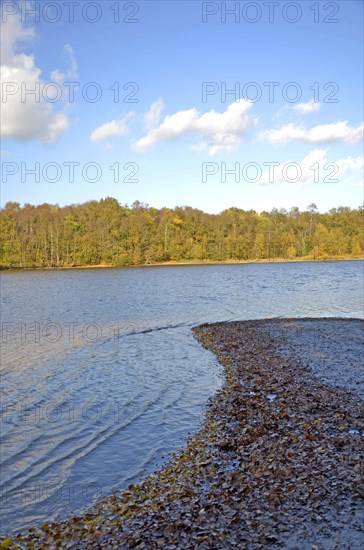 Nature reserve