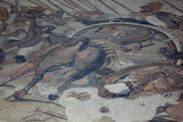Mosaic floor in a thermal bath
