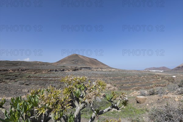 Rocky landscape around the volcano Montana de Guenia