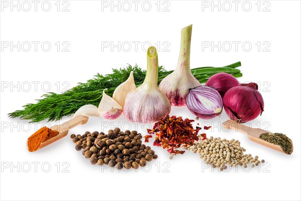 Set of spice and herbs for everyday cooking isolated on white
