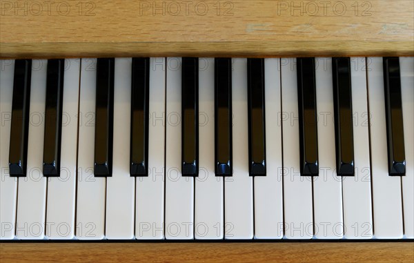 Keys of an acoustic piano