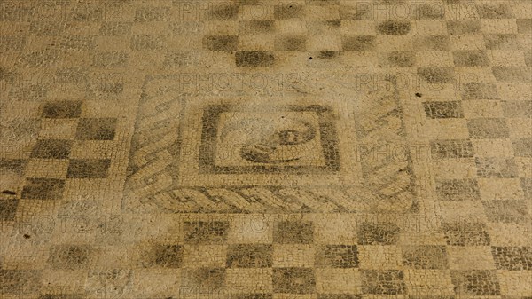 Roman floor mosaic