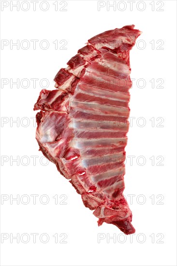 Raw fresh deer ribs isolated on white background