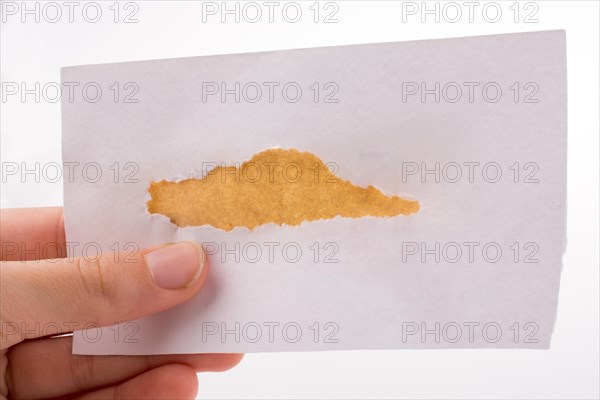 Hand holding torn notepaper on a white background