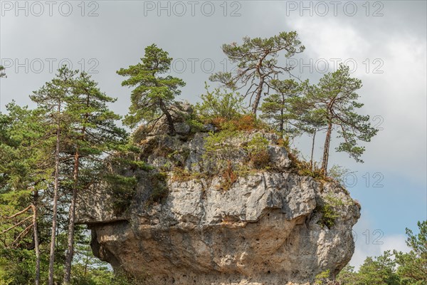 Wild landscape in Cevennes National Park