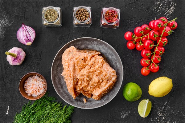 Top view of plate with minced salmon