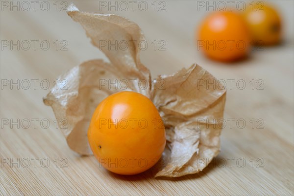 Physalis