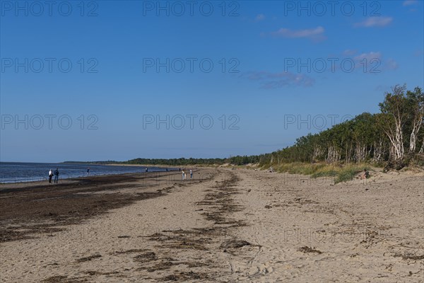 Long sandy beach on the white sea