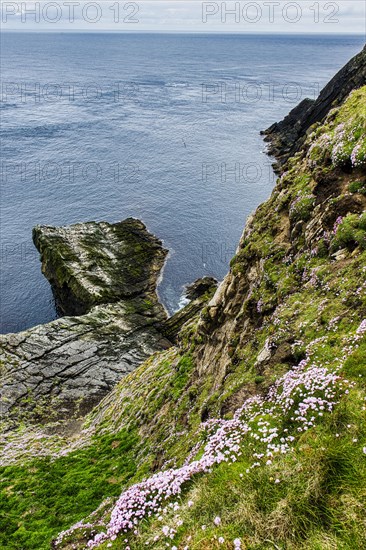 The steep cliffs of Sumburgh head