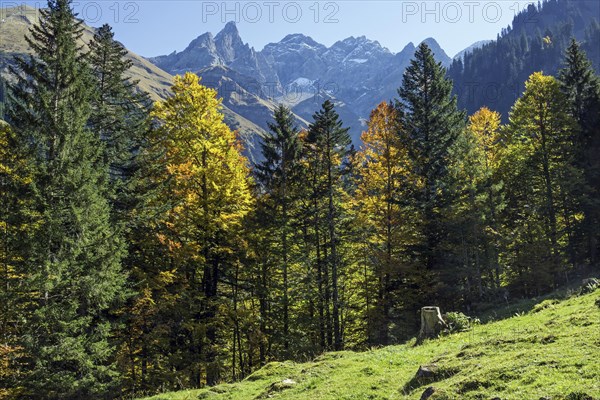 Autumn forest near Eioedsbach