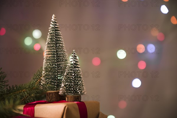 Decorative christmas trees present box