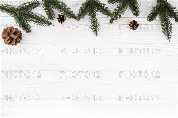 Green fir tree branches with cones on table
