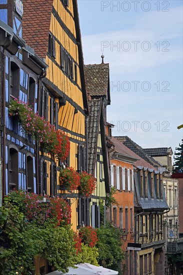 Colourful half-timbered houses in the historic old town of Riquewihr