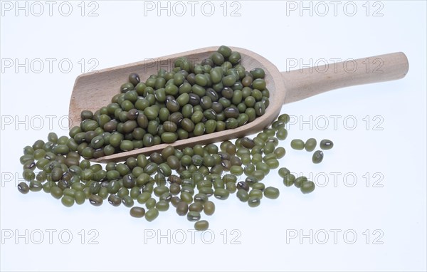 Mung bean