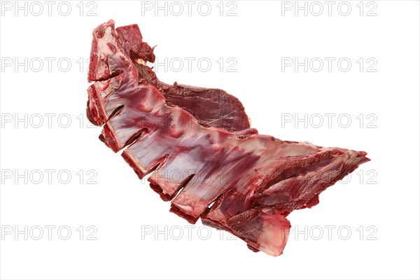 Raw fresh deer ribs isolated on white background