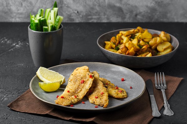 Plate with fried breaded hake fillet with spice and roasted potato wedges