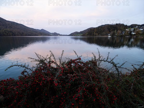 Morning atmosphere at Lake Fuschl