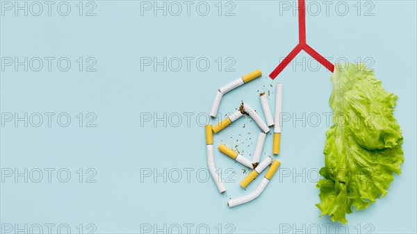 Lungs shape with salad cigarettes copy space
