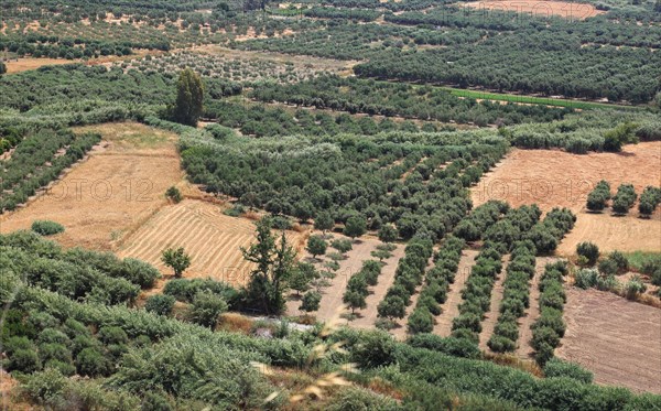 View over the Mesara plain