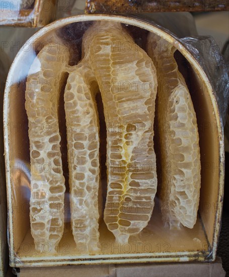 Sweet fresh honey in the sealed comb frame