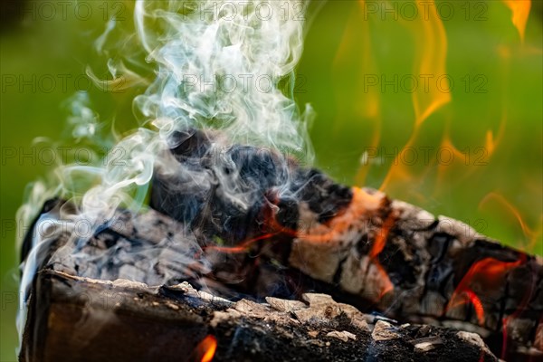 Close up view of burning firewood in the fire outdoor