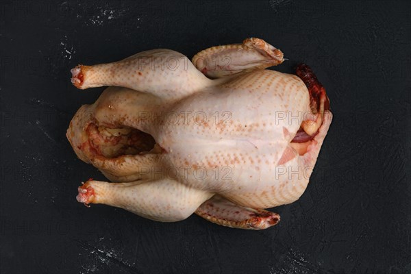 Whole raw turkey carcase on dark background