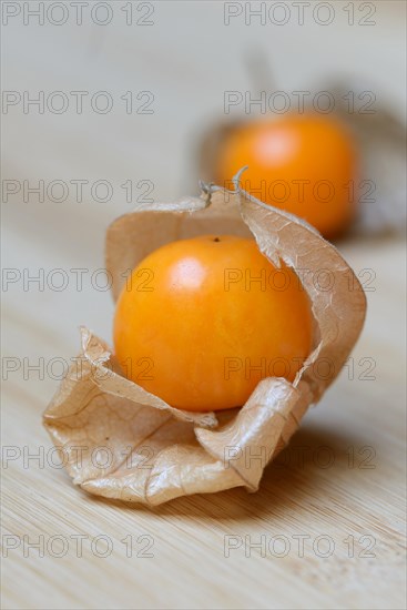 Physalis