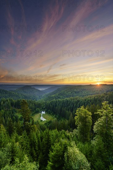 View from the Ellbachseeblick viewing platform