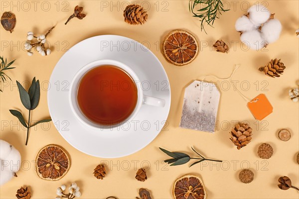 Tea cup surrounded by seasonal forest decoration on beige background