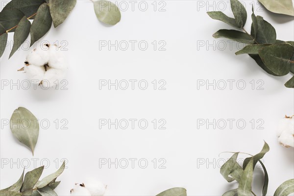 Top view frame leaves branches. Resolution and high quality beautiful photo