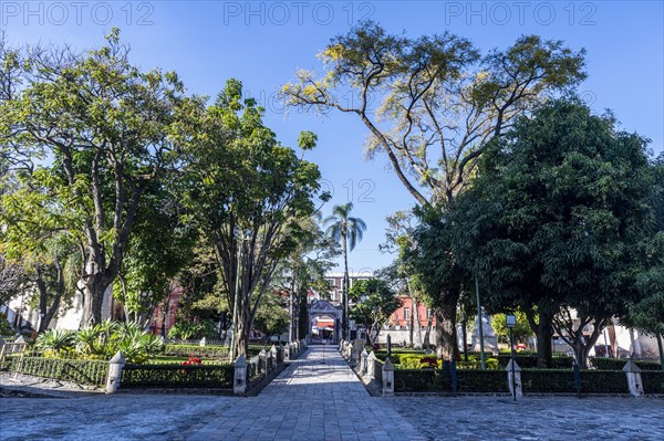 Cathedral of Cuernavaca