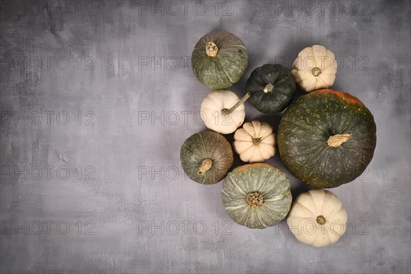 Different green and white pumpkins