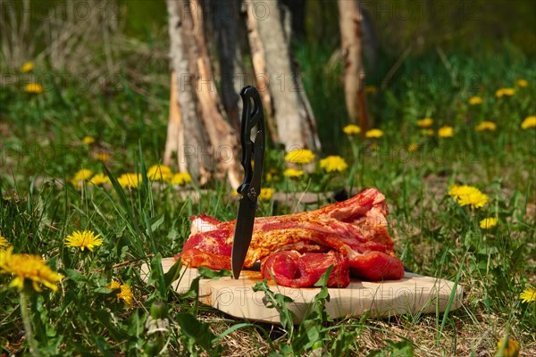 Fresh pork ribs with salt and pepper on cutting board outdoor. Selective focus photo